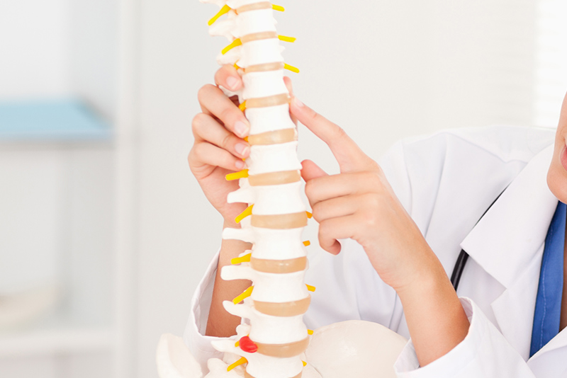 Chiropractor, back pain doctor in the Bellmore, NY 11710